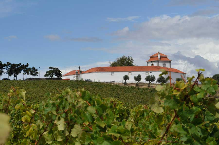 oeiras-lisboa-enoturismo-rota-dos-vinhos-de-portugal